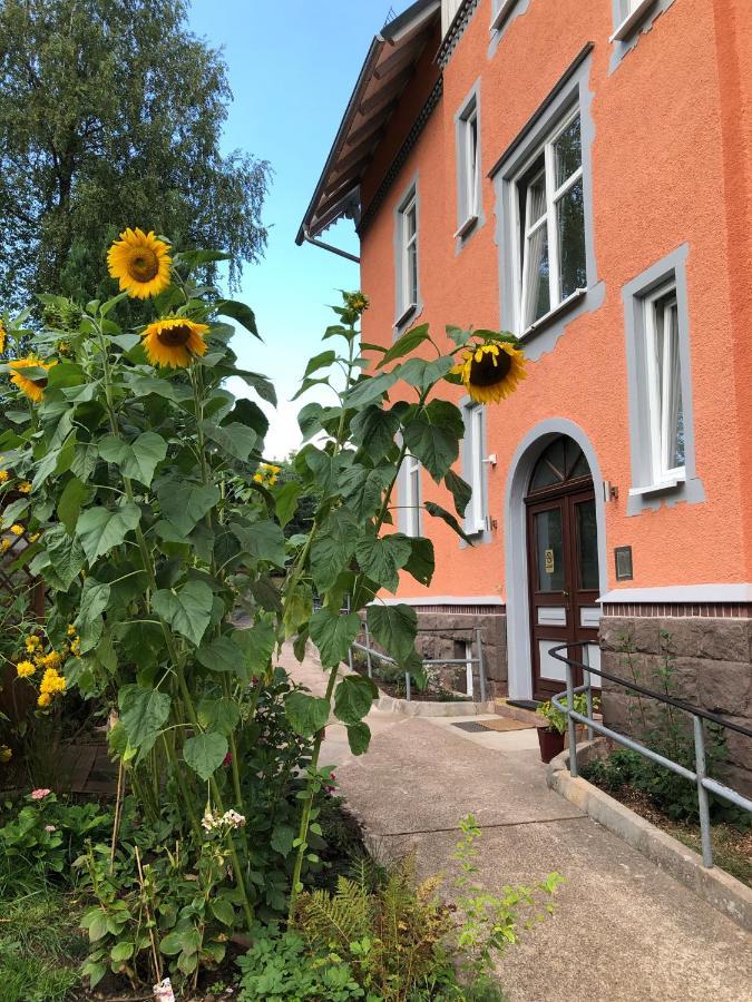Moderne Ferienwohnung In Alter Villa Georgenthal  Buitenkant foto